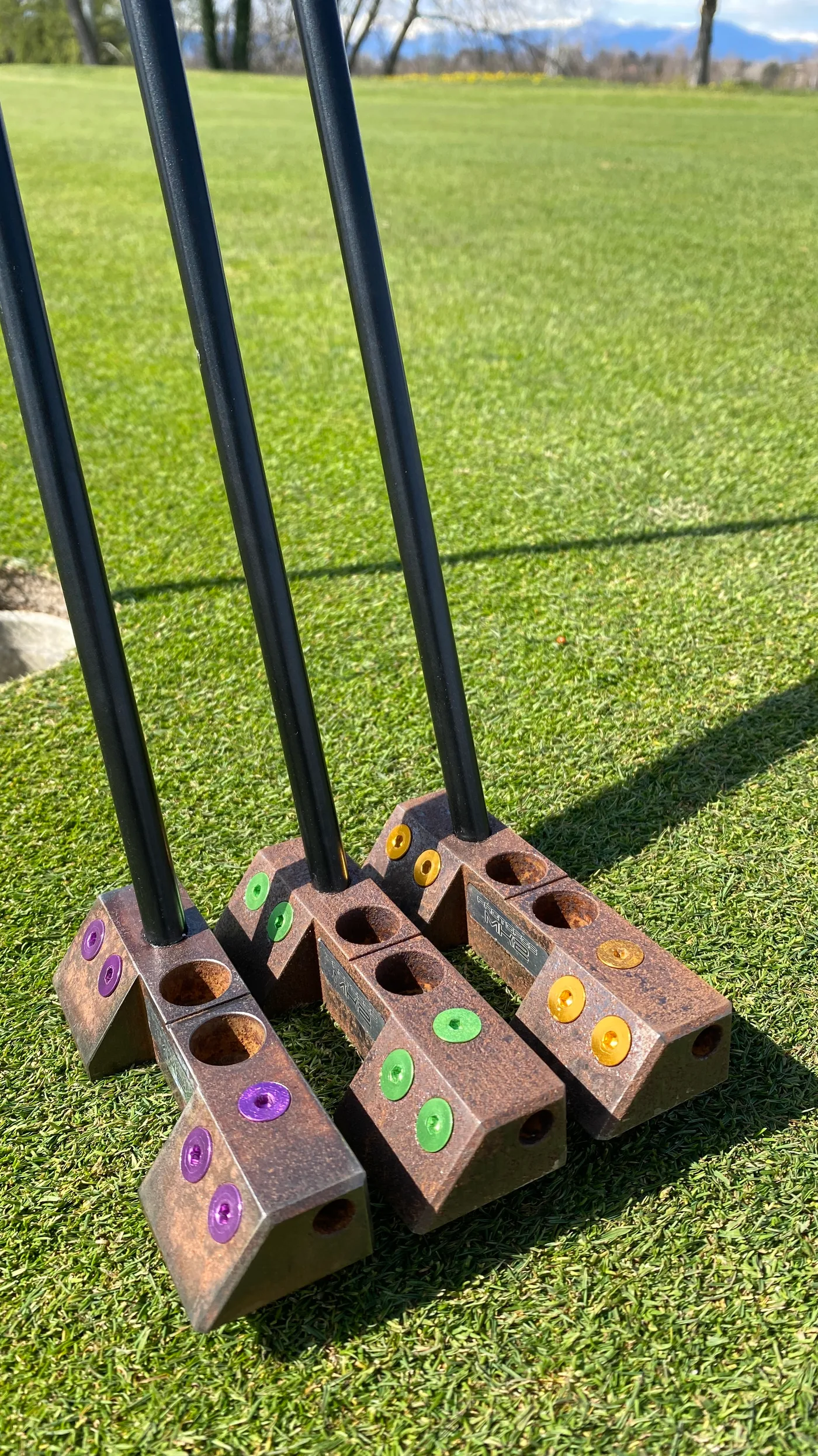 Protopos putter